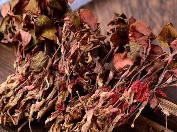 Висушений суперсорт Anoectochilus Roxburghii надходить на спеціалізовані ринки