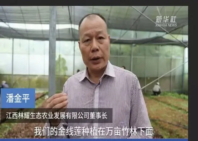 Пан Цзіньпін, голова Jiangxi Linyao Ecological Agriculture Development Co., Ltd., в інтерв’ю агентству Сіньхуа